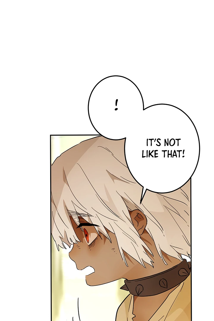 From Six to Sovereignty: The Girl Who Ruled Chapter 42 19
