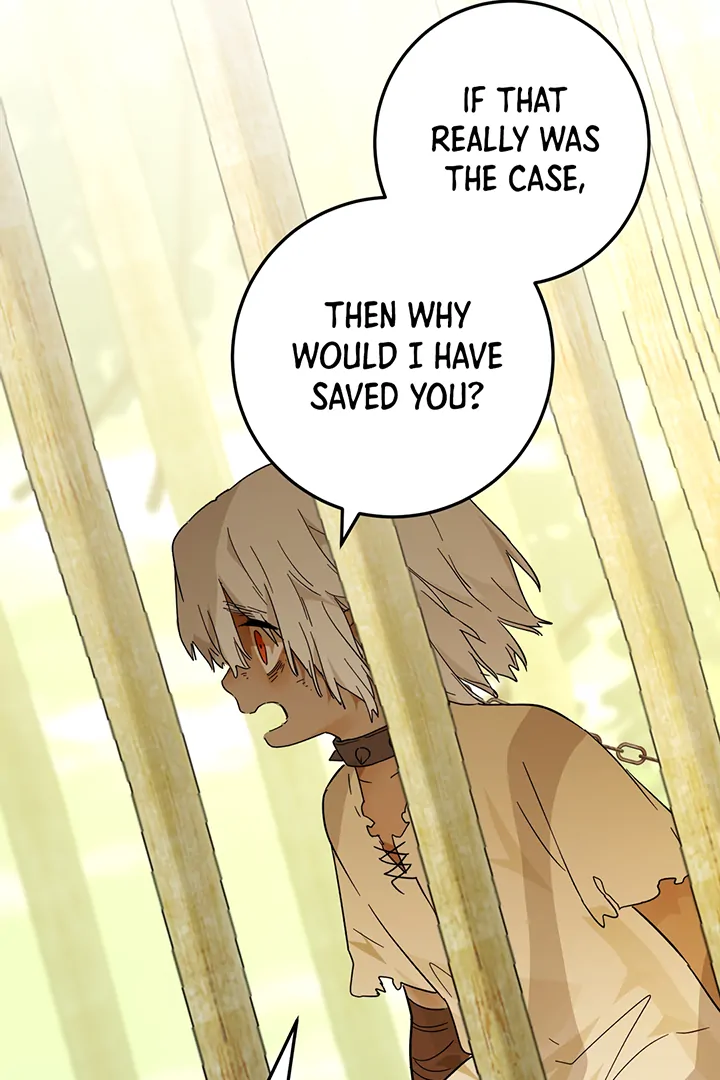 From Six to Sovereignty: The Girl Who Ruled Chapter 42 22