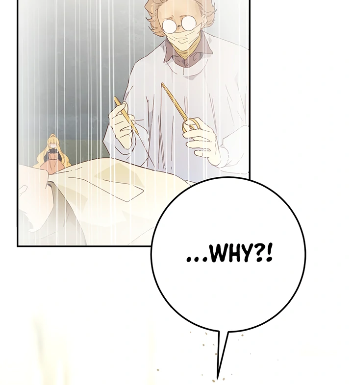 From Six to Sovereignty: The Girl Who Ruled Chapter 42 5