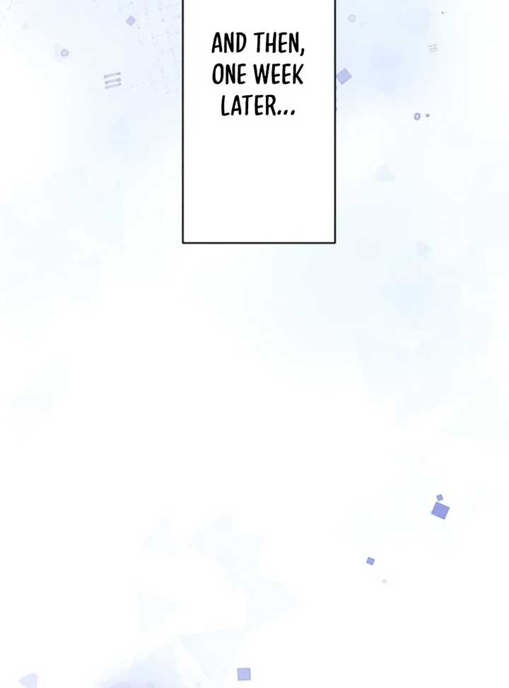 The Stray Cat Who Doesn’t Know the Greatest Love Song Chapter 14 5