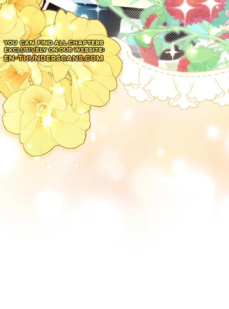 Face Genius, 0-Year-Old Top Star Chapter 11 17