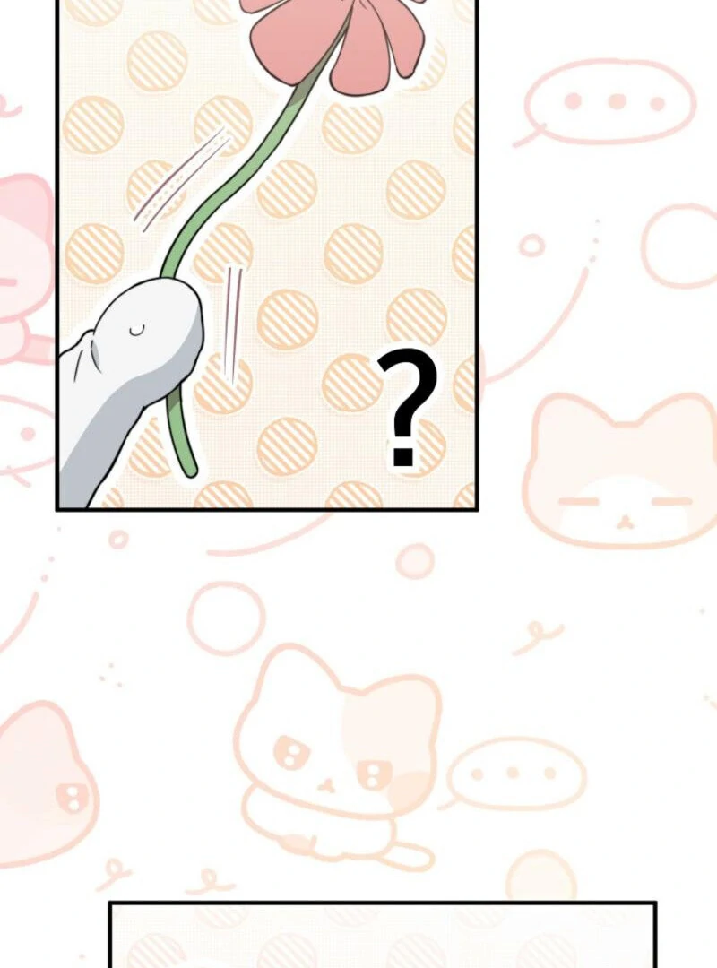 Face Genius, 0-Year-Old Top Star Chapter 9 71