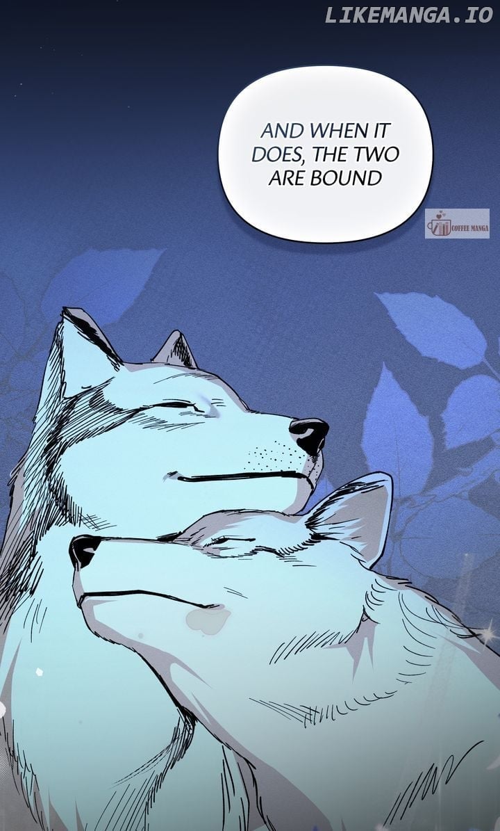 Werewolves Going Crazy over Me Chapter 66 47