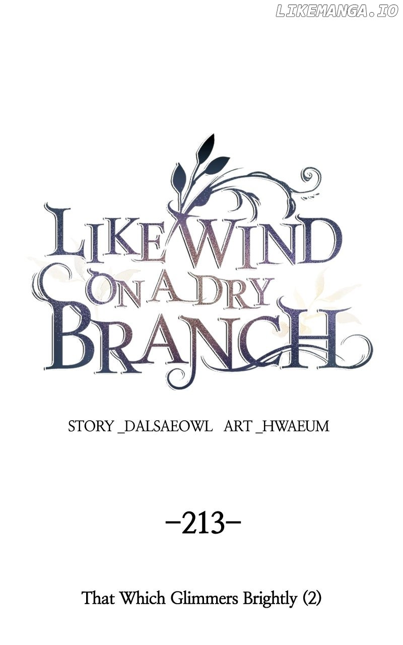 Like A Wind On A Dry Branch Chapter 213 1