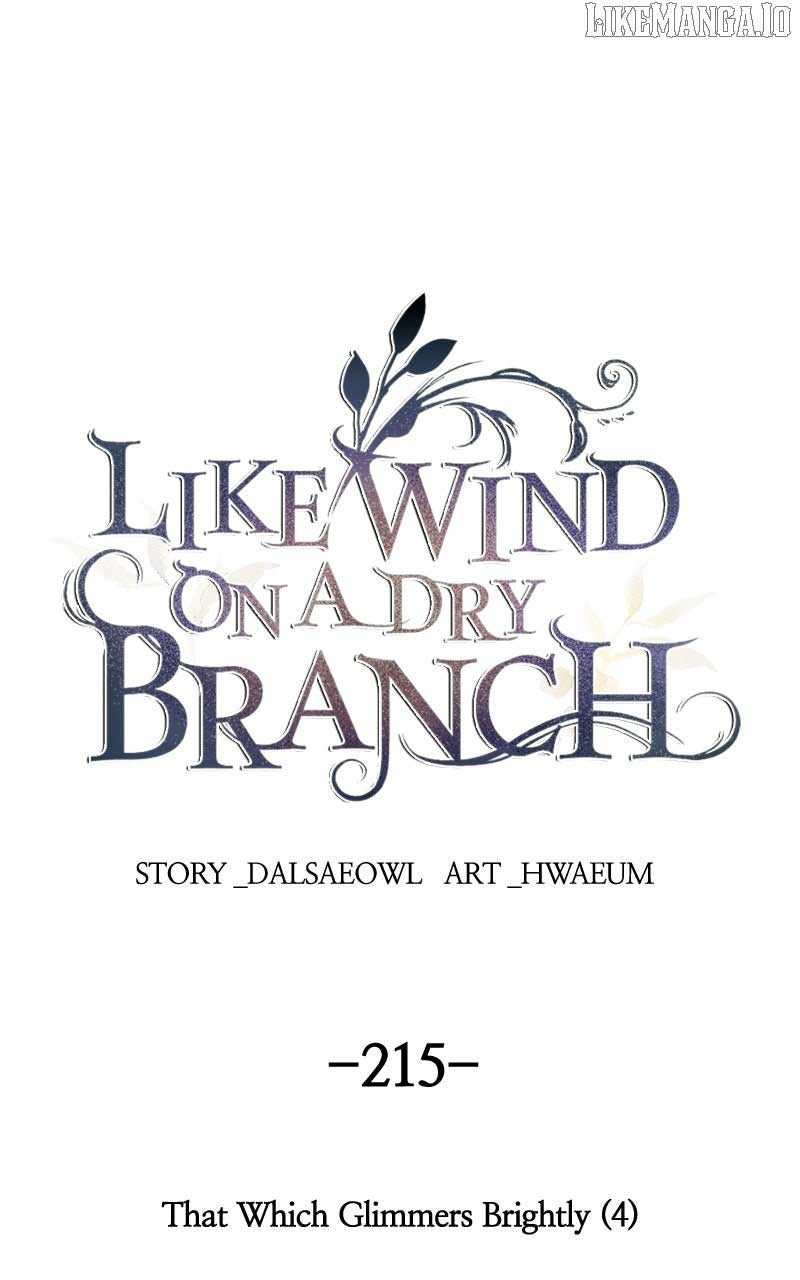 Like A Wind On A Dry Branch Chapter 215 1
