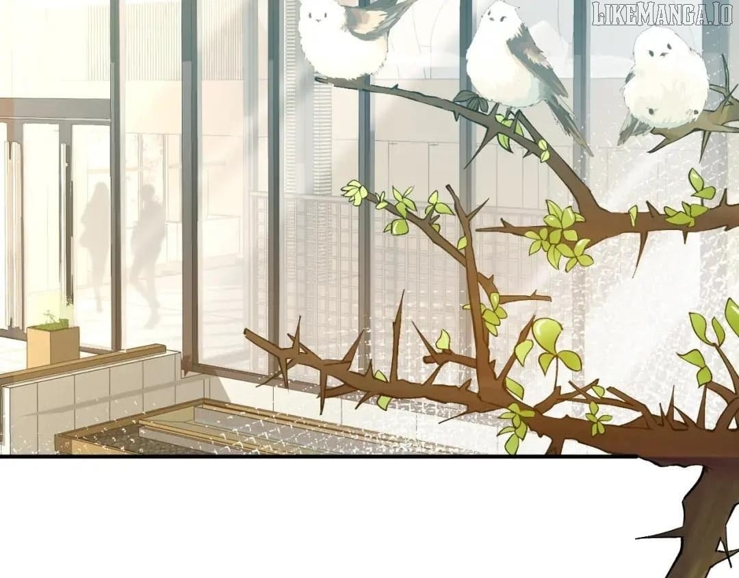 Everyone’s Darling Chapter 171 40