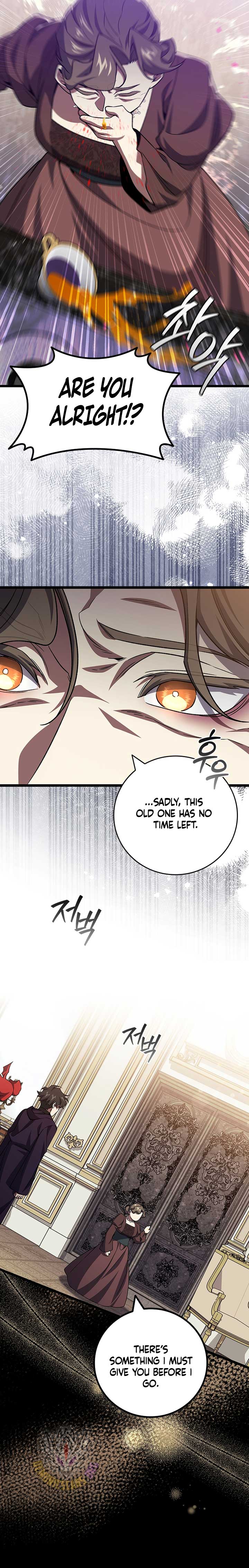 Dragon-Devouring Mage Chapter 104 9