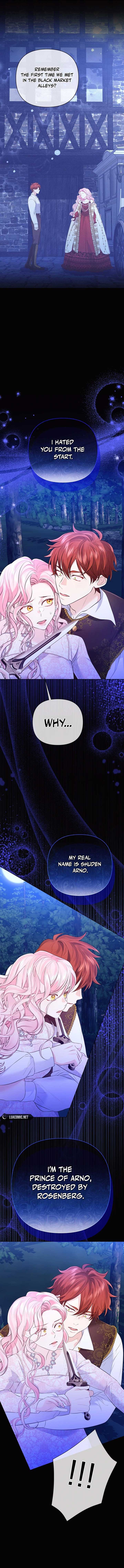 I Think It Would Be Better For Me to Become King Chapter 30 7