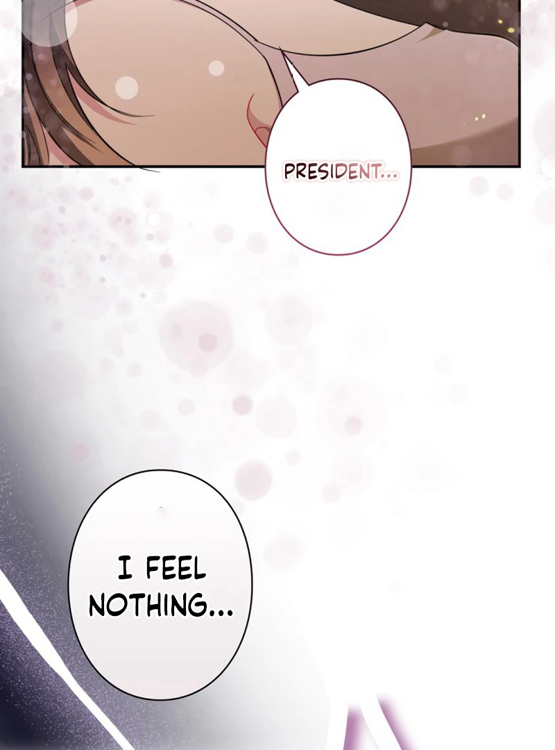 The Perfect Man’s Secret Chapter 20 112