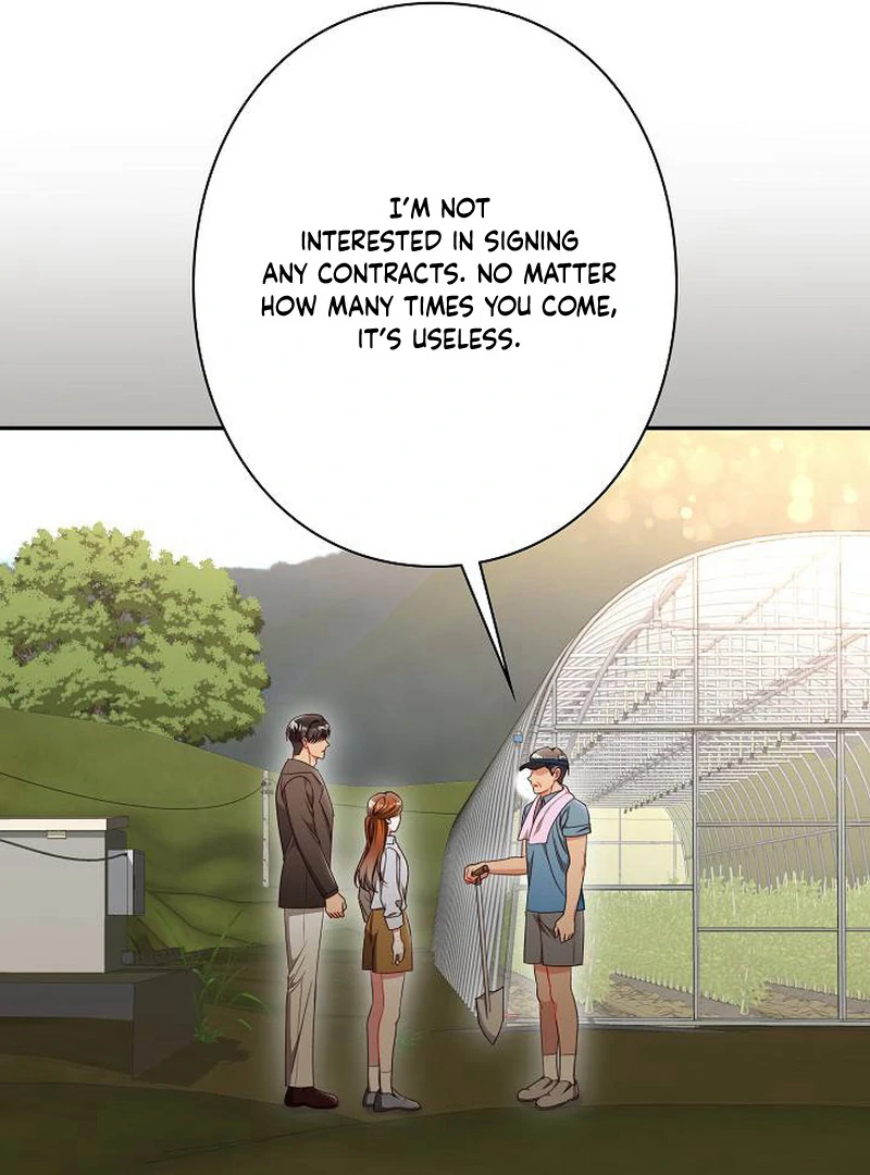 The Perfect Man’s Secret Chapter 26 100