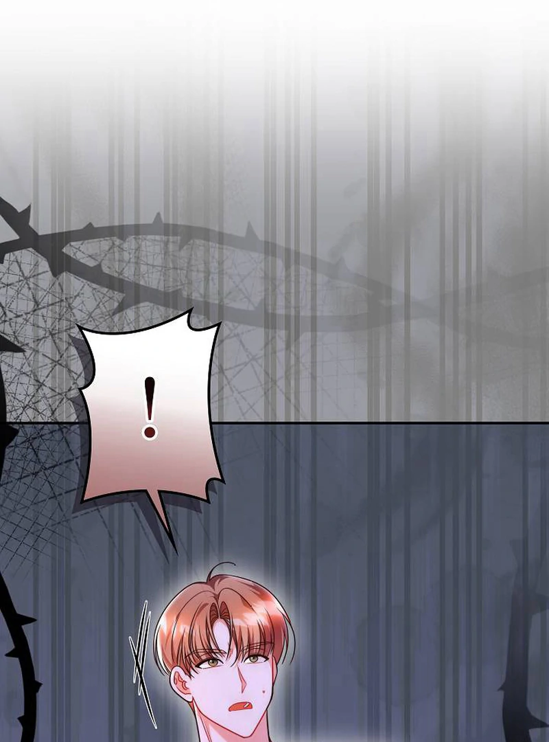 The Perfect Man’s Secret Chapter 29 96