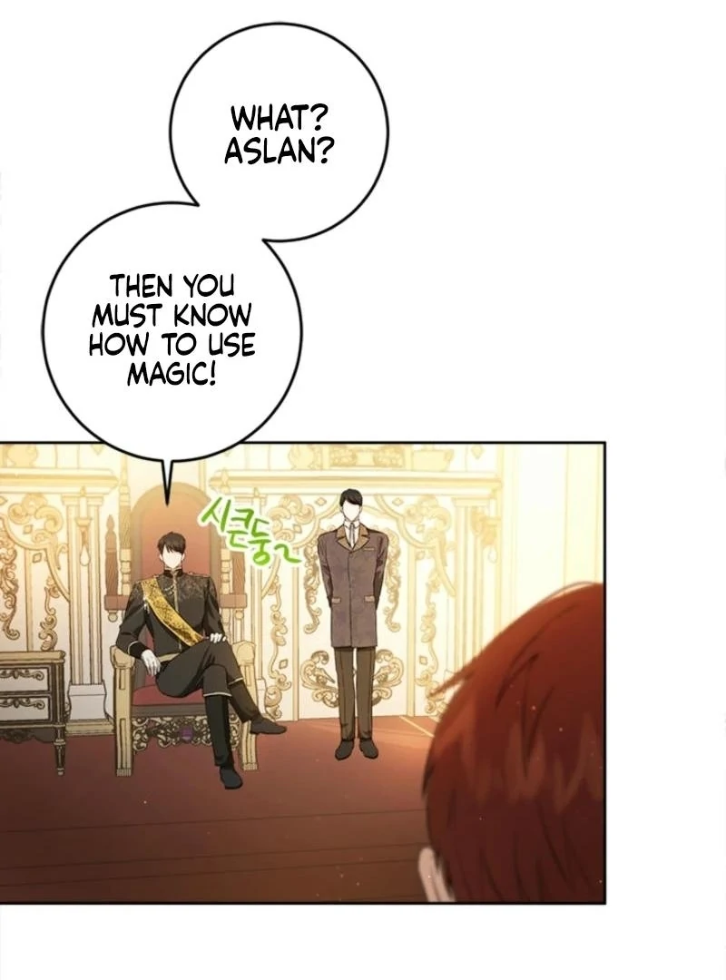 The Princess’s Double Life Chapter 125 12