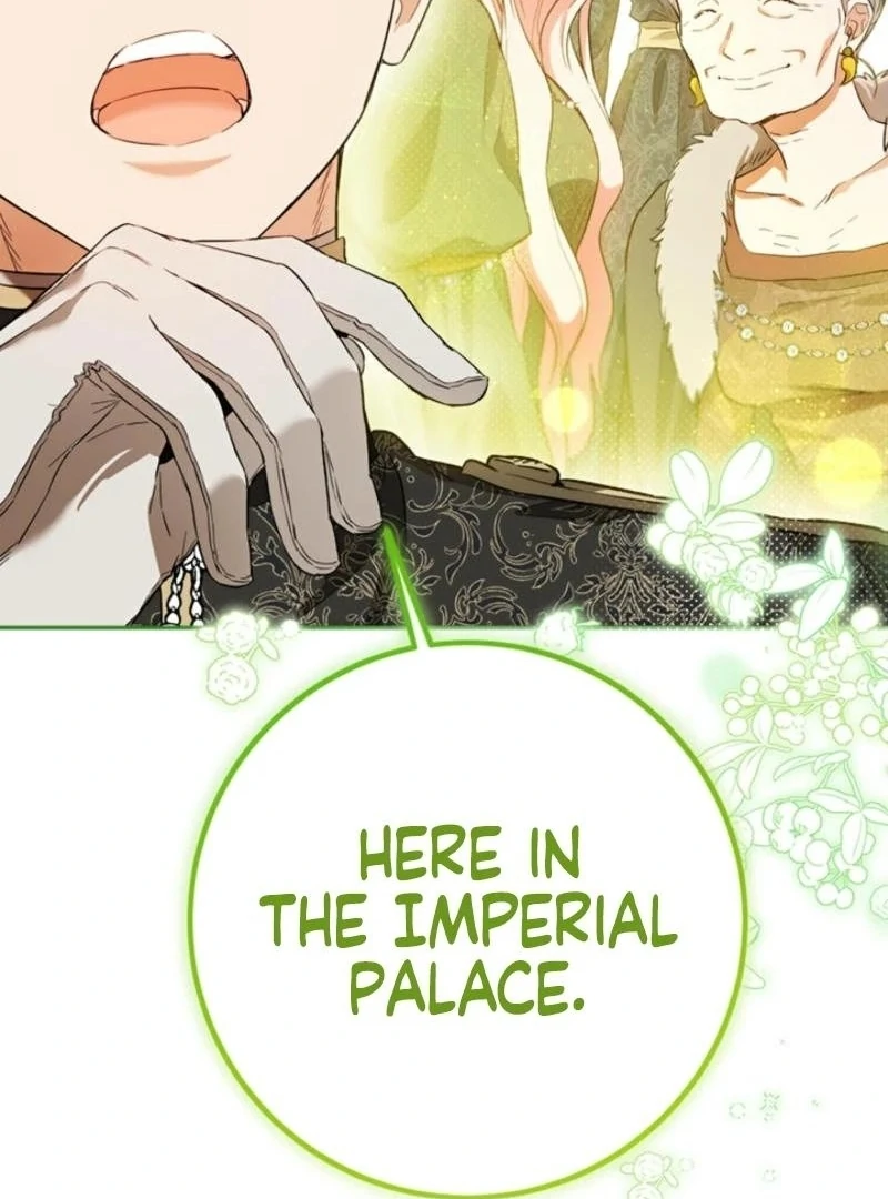 The Princess’s Double Life Chapter 125 35