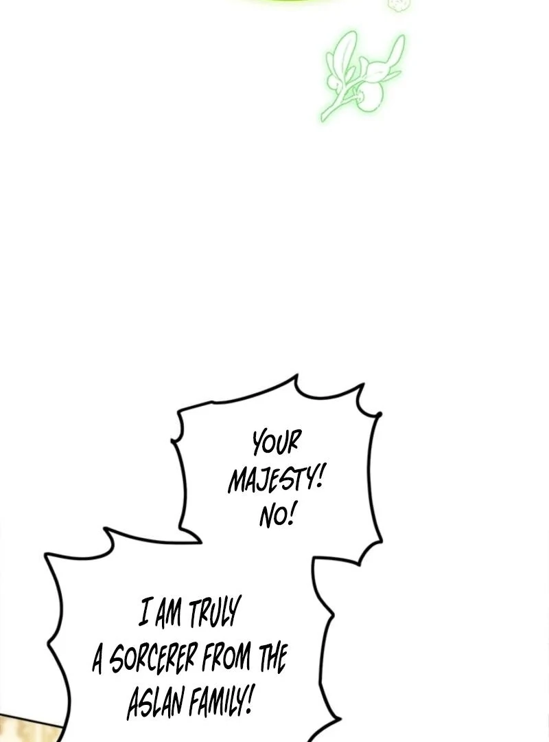 The Princess’s Double Life Chapter 125 36