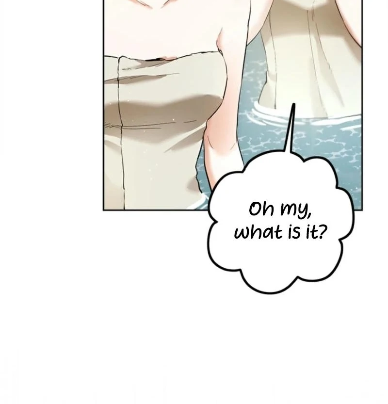 The Princess’s Double Life Chapter 125 64