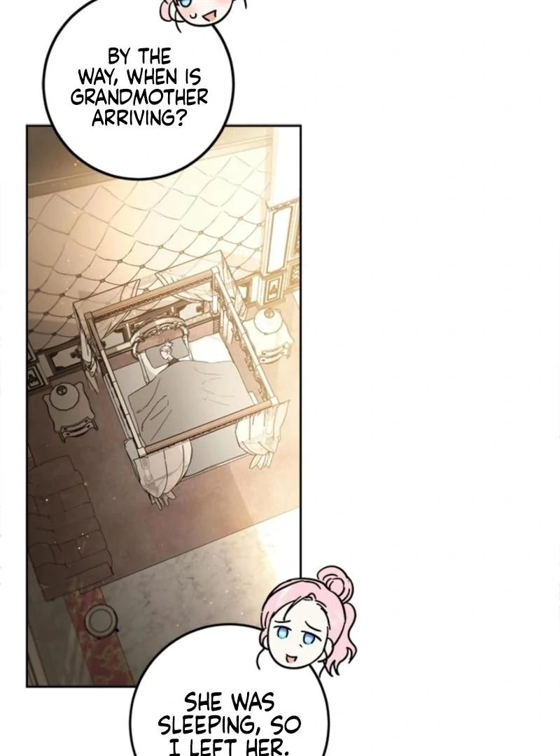 The Princess’s Double Life Chapter 125 70