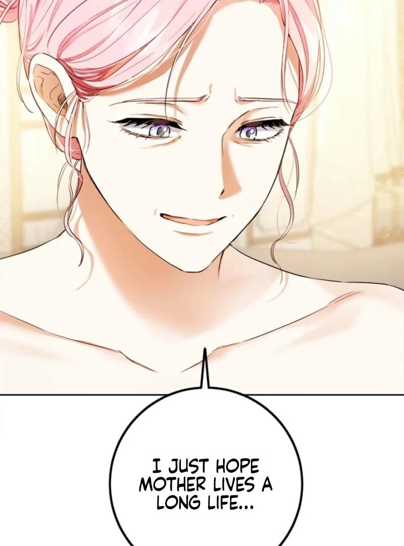 The Princess’s Double Life Chapter 125 72