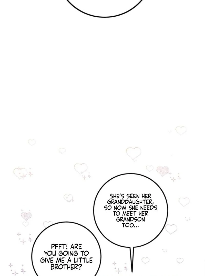 The Princess’s Double Life Chapter 125 73