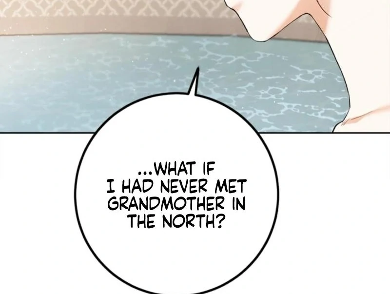 The Princess’s Double Life Chapter 125 78