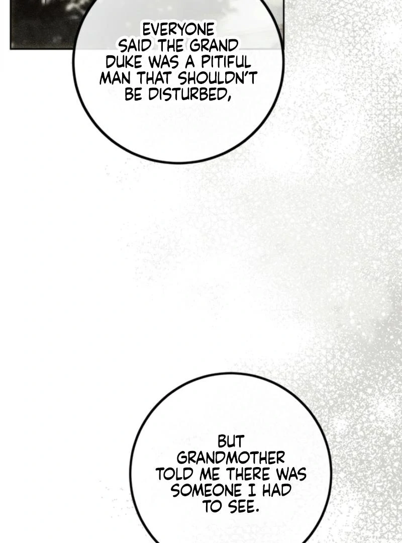 The Princess’s Double Life Chapter 125 81
