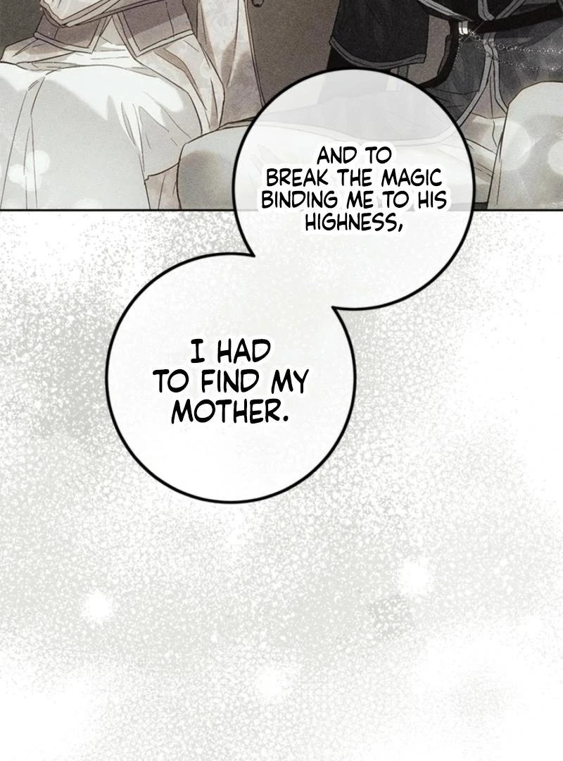 The Princess’s Double Life Chapter 125 85