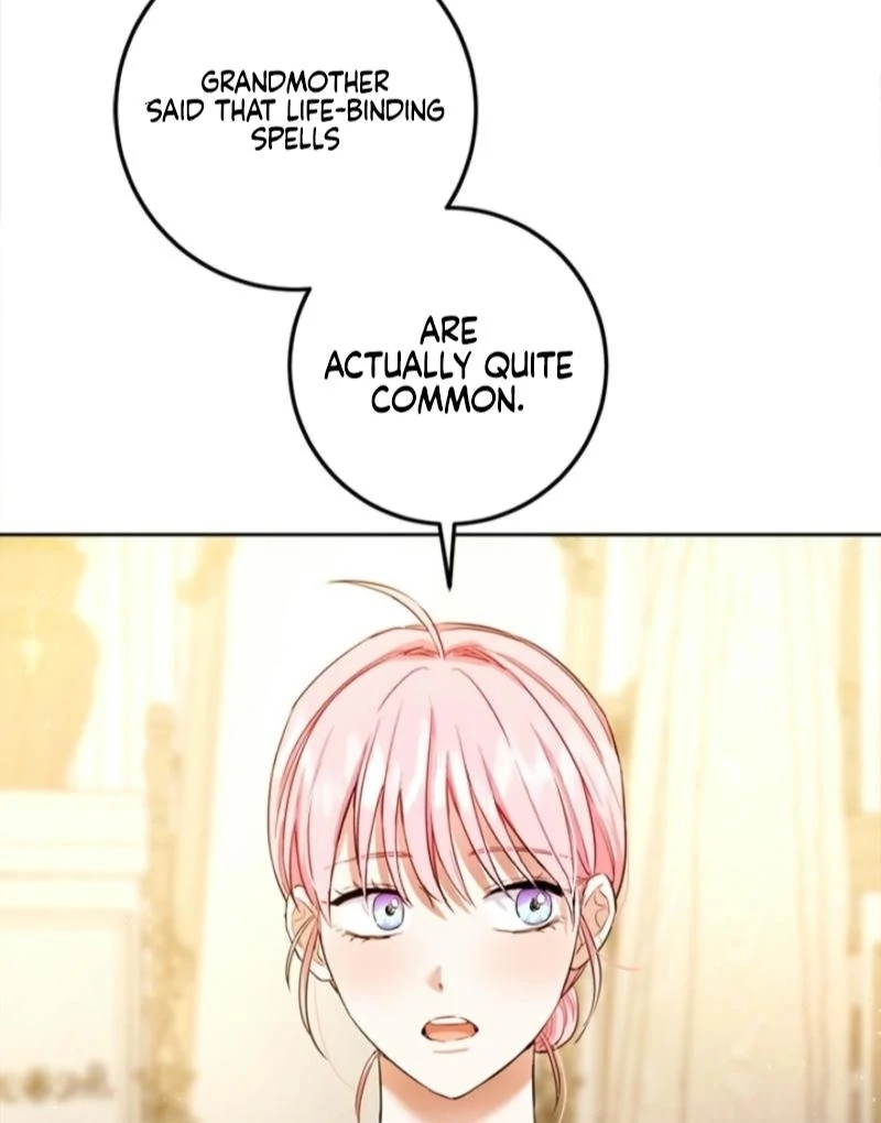 The Princess’s Double Life Chapter 125 92