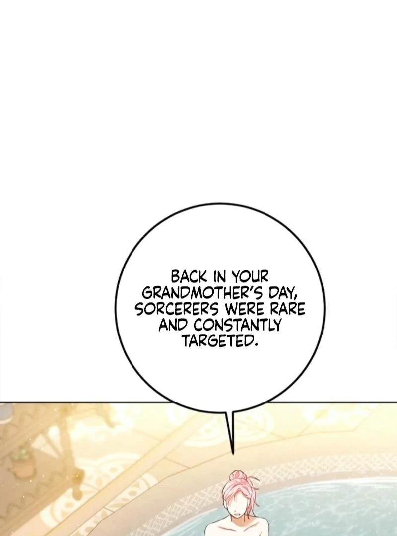 The Princess’s Double Life Chapter 125 94