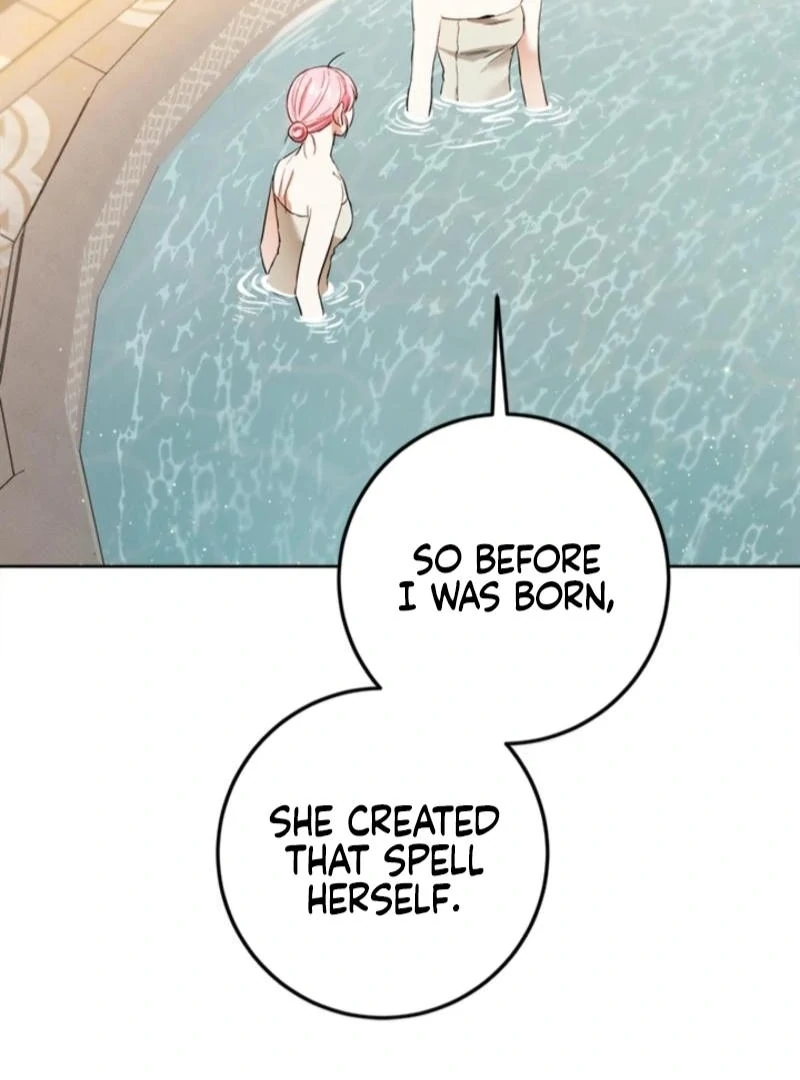 The Princess’s Double Life Chapter 125 95