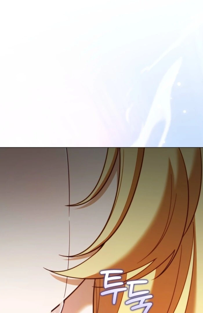 Adinmir’s Thorn Flower Chapter 28 48