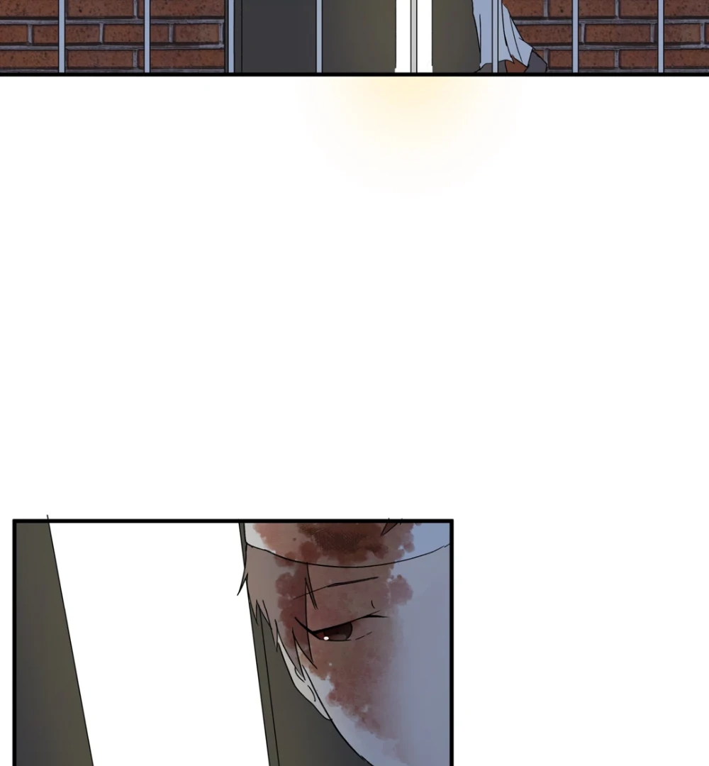 8% Opacity Chapter 14 52