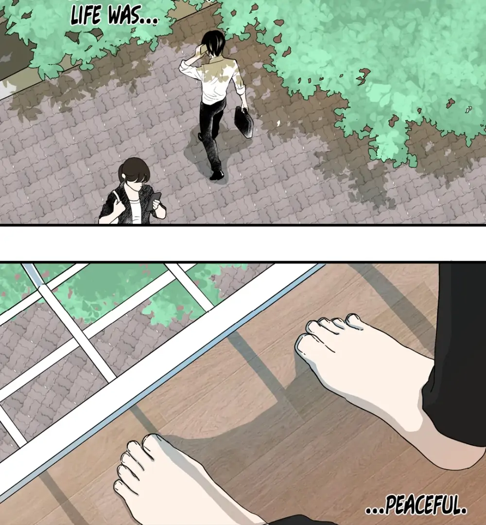 8% Opacity Chapter 8 19