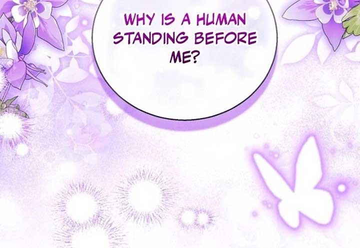 I’m a Fake Saintess but the Gods are Obsessed Chapter 109 24