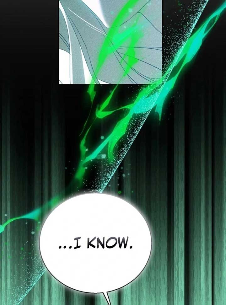 I’m a Fake Saintess but the Gods are Obsessed Chapter 109 94