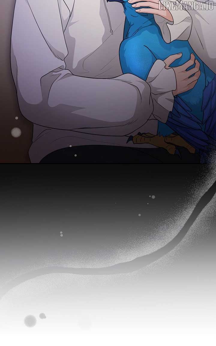 Seabird and the Wolf Chapter 45 65