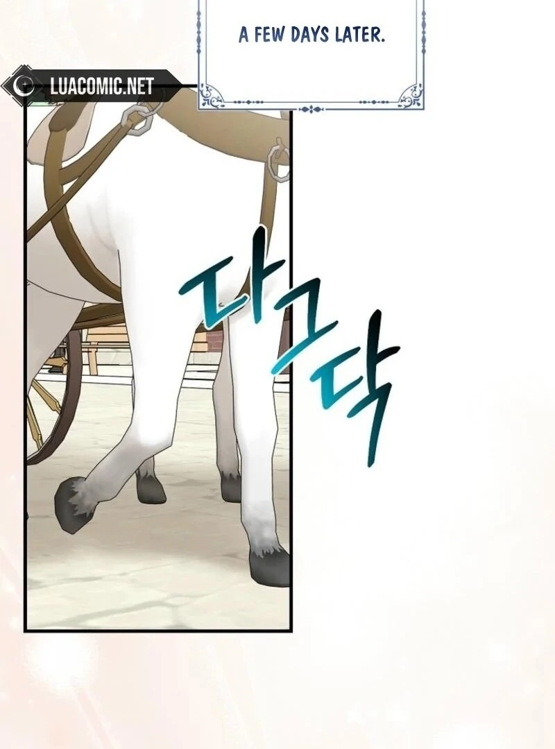 I Acted As the Adopted Daughter Too Well Chapter 97 48
