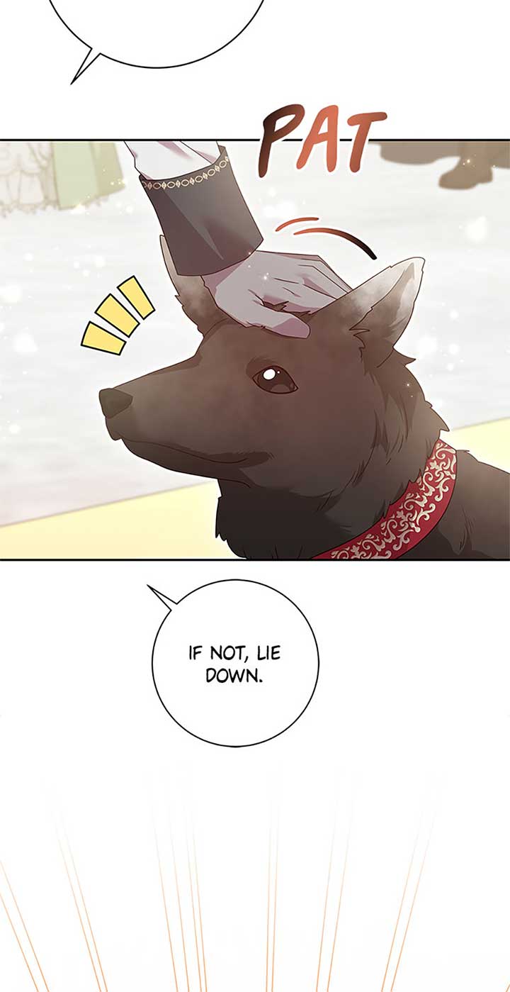 The Life Of An Evil Empress Chapter 58 50