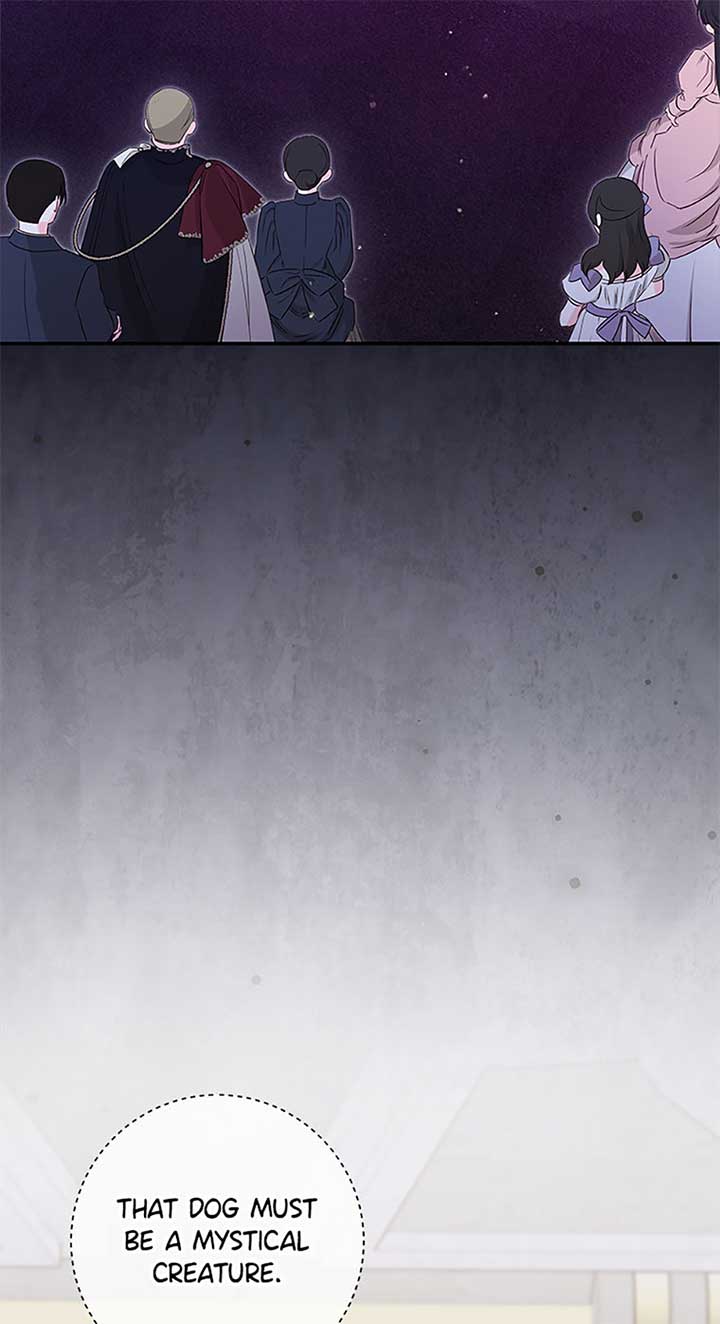 The Life Of An Evil Empress Chapter 58 62
