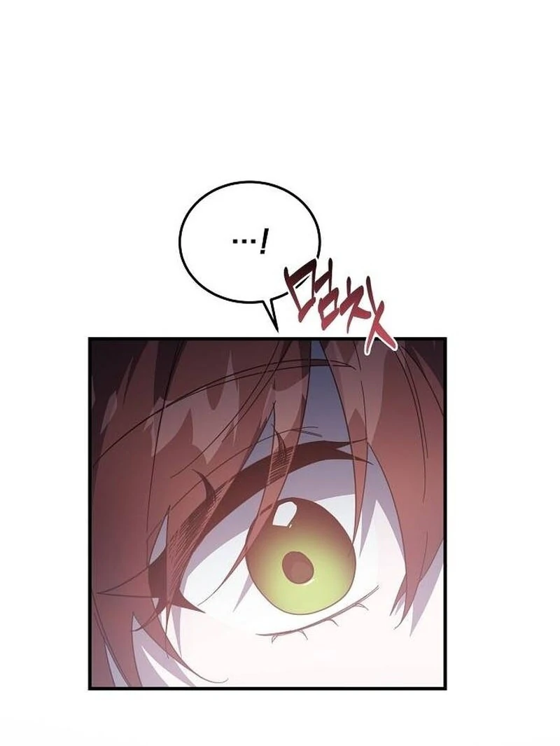 A Revenge Guide for the Terminally Ill Maid Chapter 26 55
