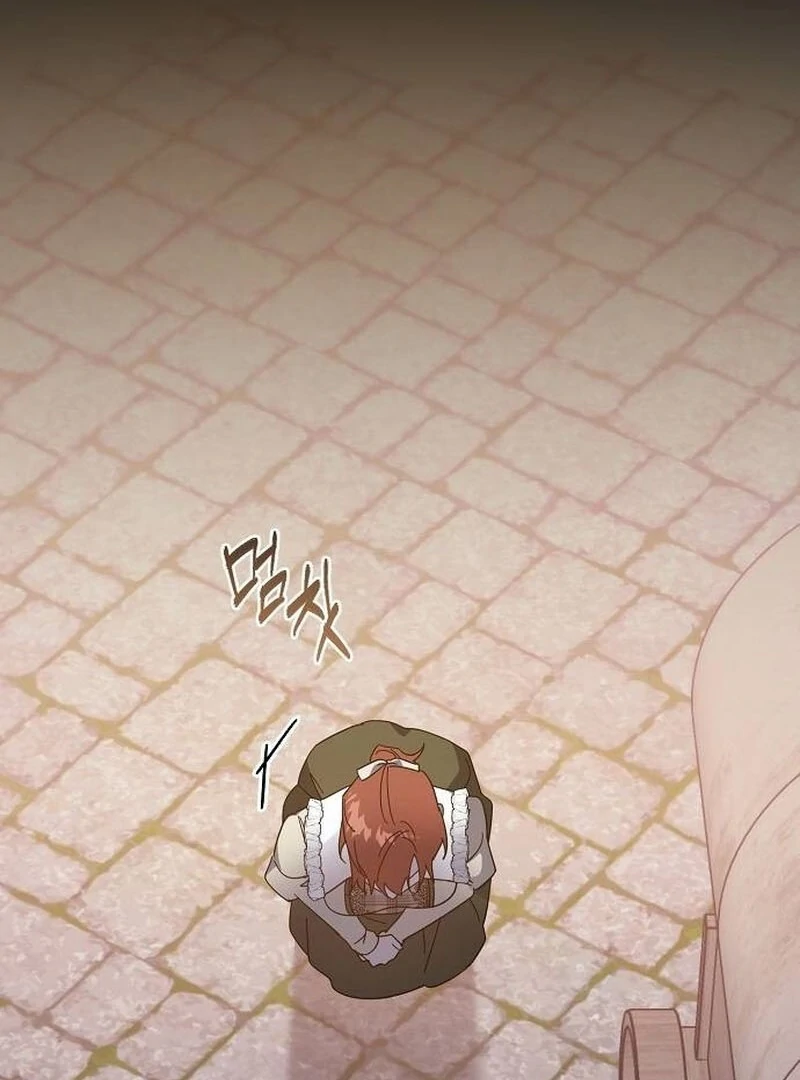 A Revenge Guide for the Terminally Ill Maid Chapter 27 84