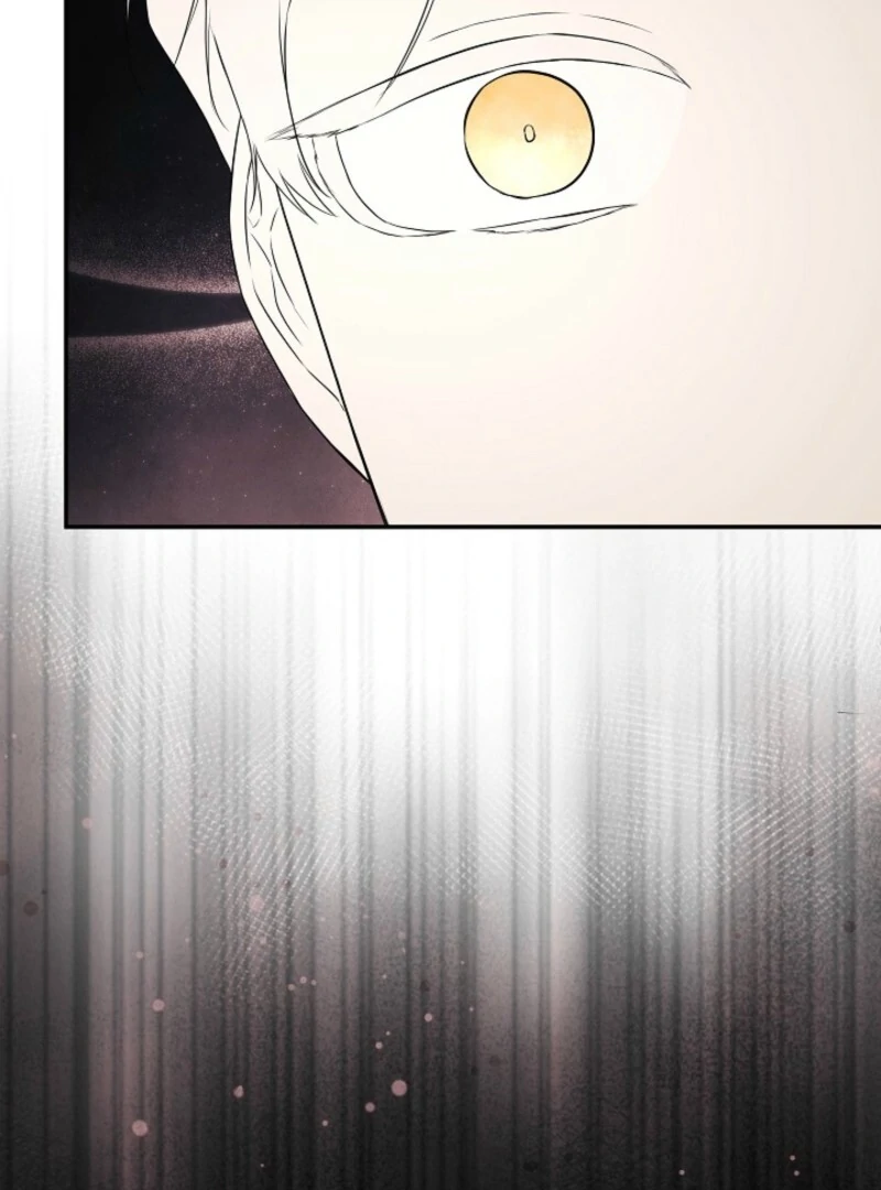 I Mistook the Hidden Identity of the Sub Male Lead Chapter 98 25