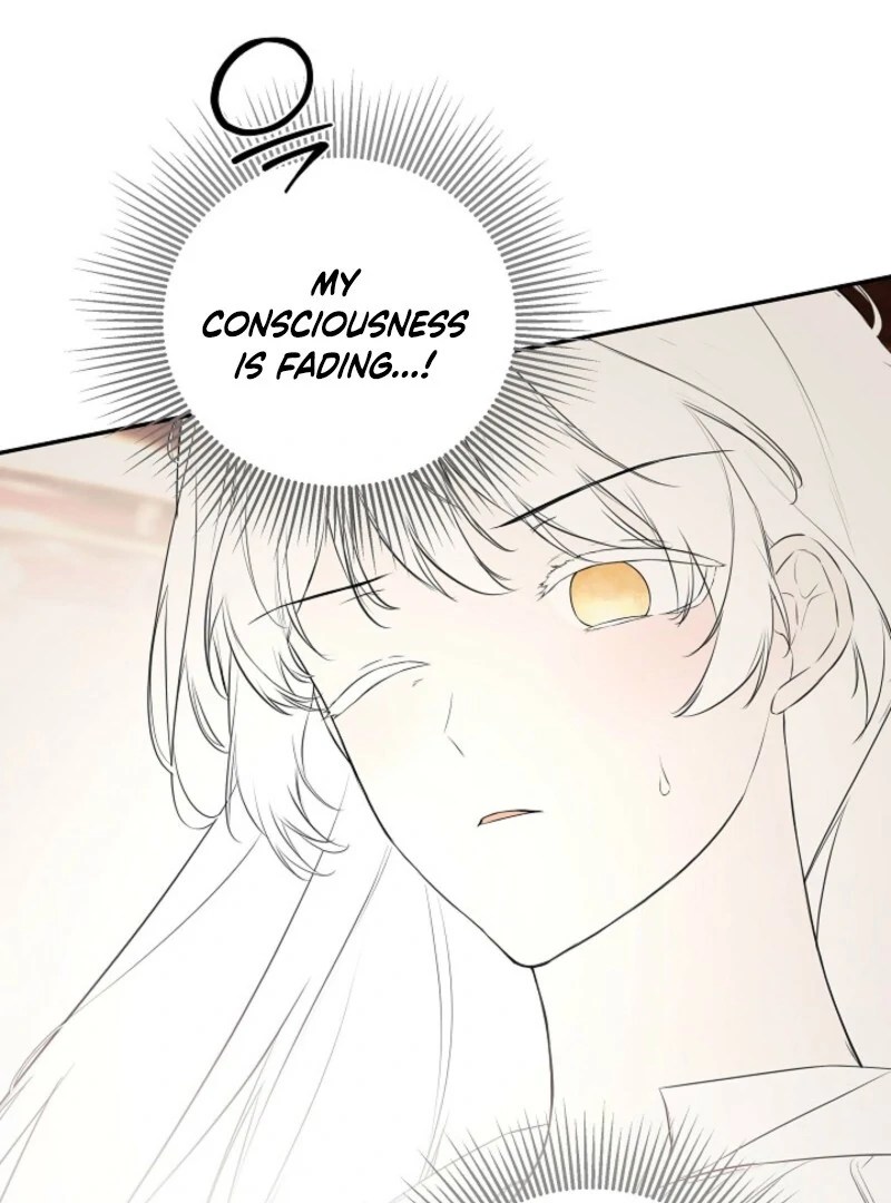 I Mistook the Hidden Identity of the Sub Male Lead Chapter 98 41