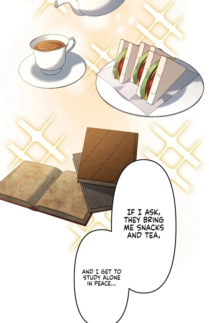 The Substitute Adopted Daughter is Finally Free! Chapter 23 46