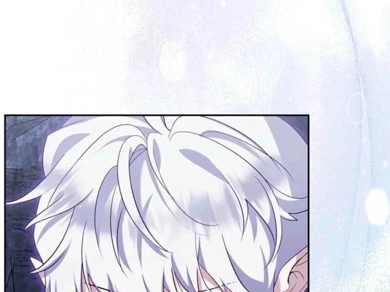 I Was Reincarnated as a Baby Fox God Chapter 96 63