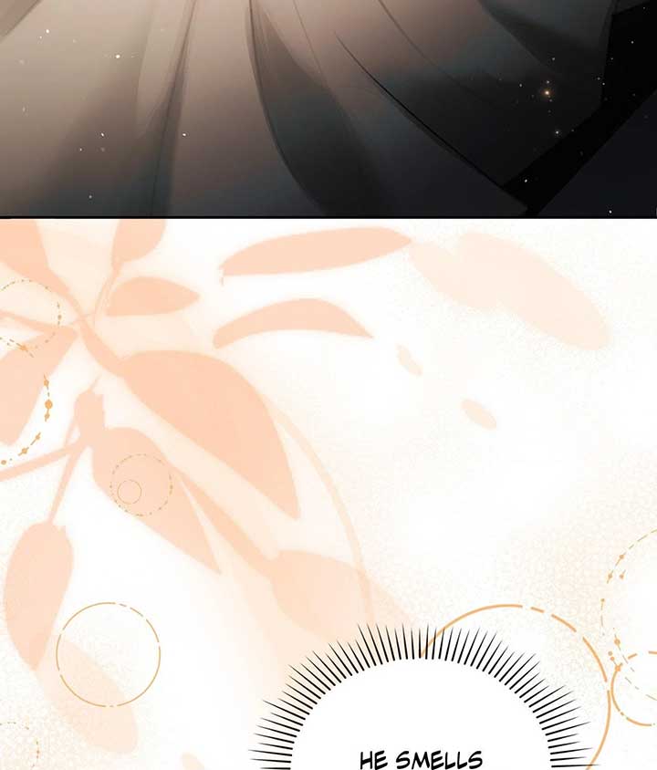 The Young Wife Chapter 36 84