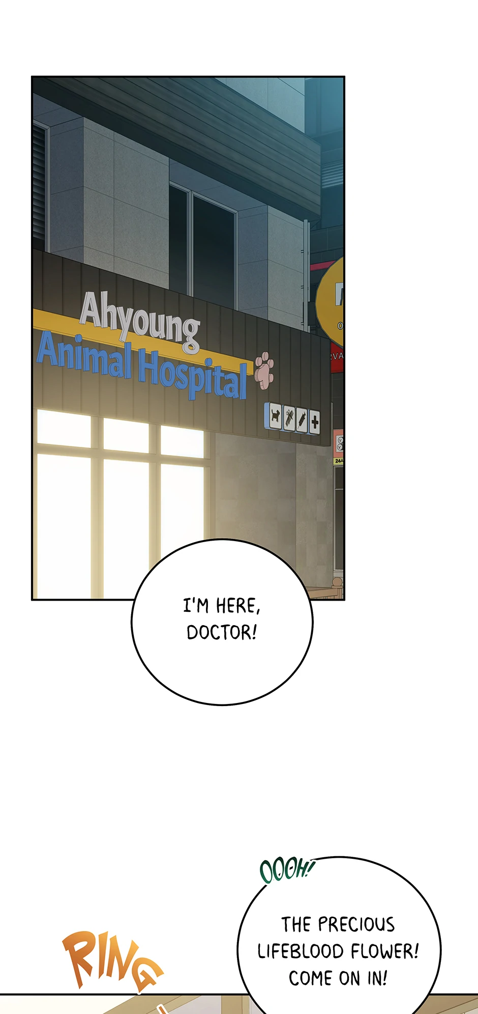 An animal hospital in the border area Chapter 148 41