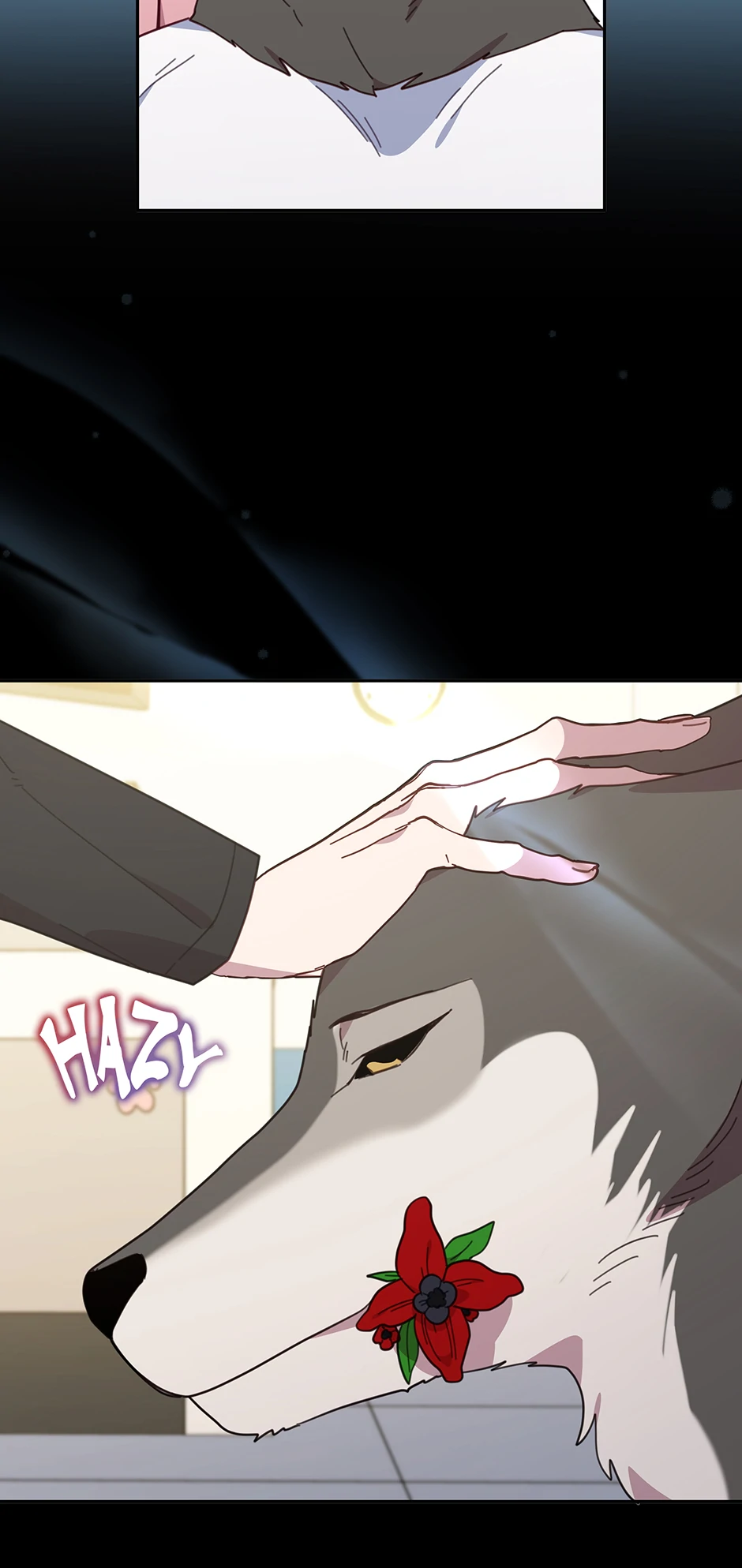 An animal hospital in the border area Chapter 148 45