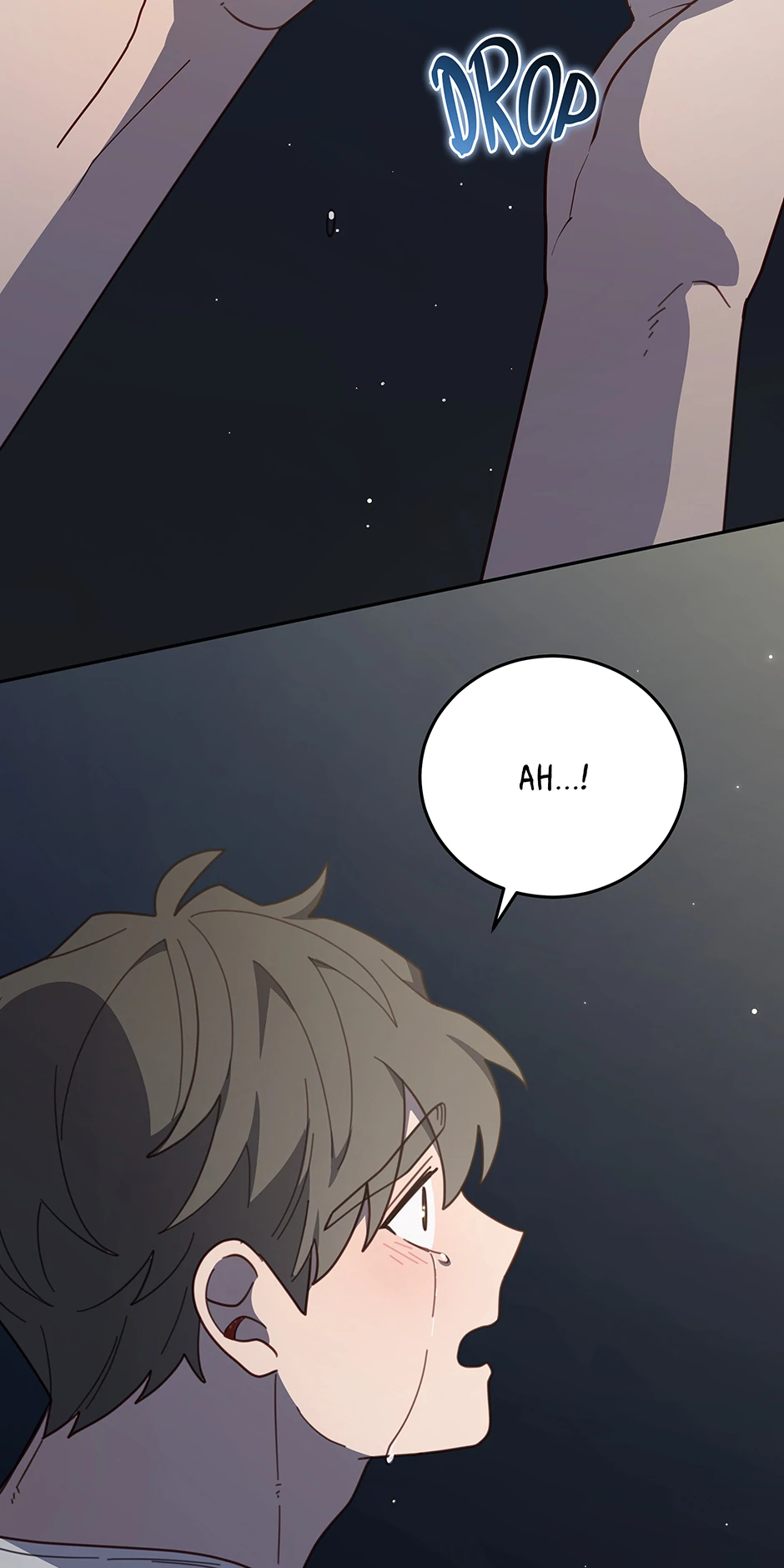 An animal hospital in the border area Chapter 148 52