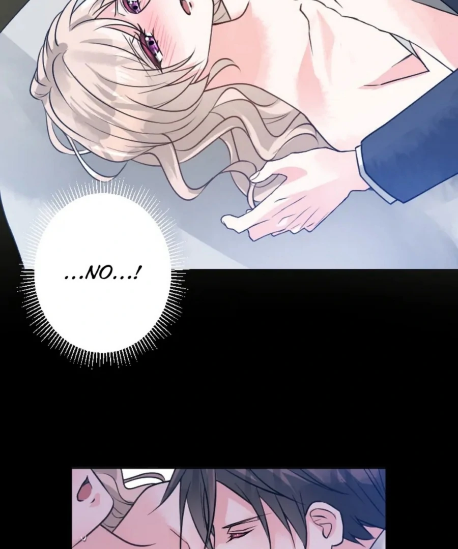Until the Lustful Consort Bears the Bachelor King’s Child Chapter 2 10