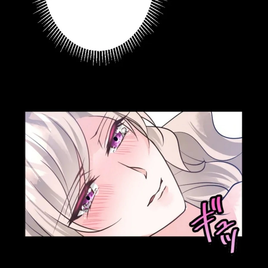 Until the Lustful Consort Bears the Bachelor King’s Child Chapter 2 12