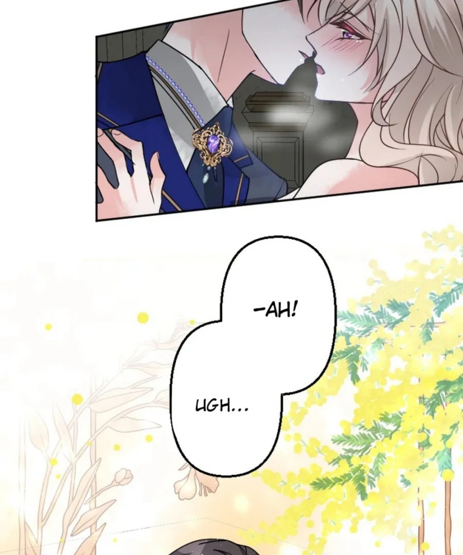 Until the Lustful Consort Bears the Bachelor King’s Child Chapter 2 3